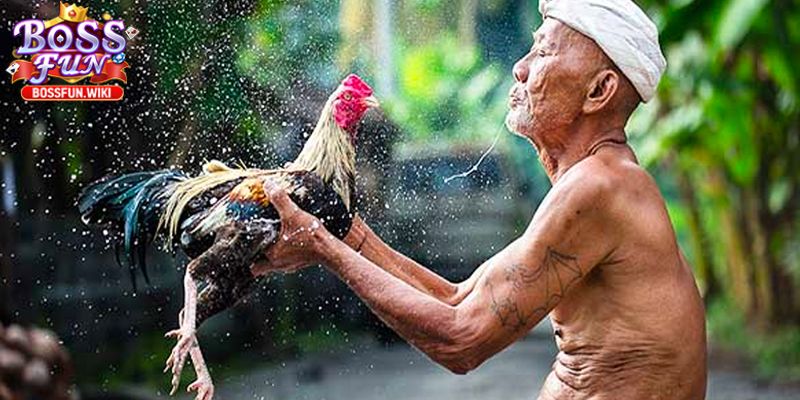 Chiến thuật đỉnh cao và tiếp thu dễ dàng