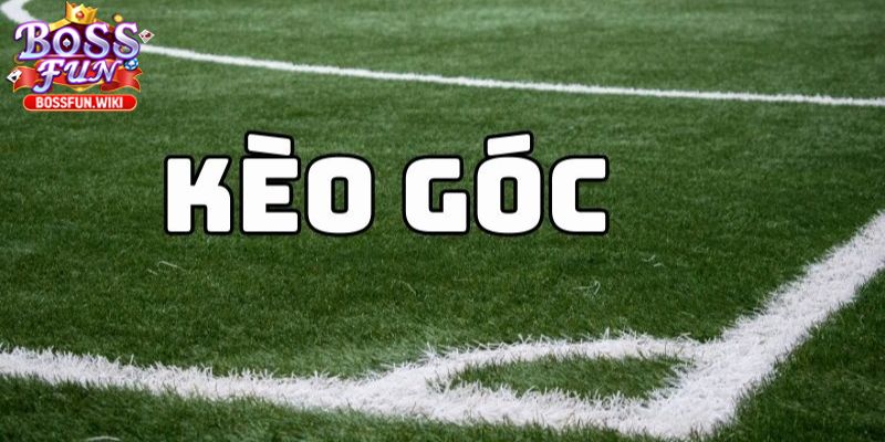 Nhà cái uy tín, chất lượng hàng đầu hiện nay