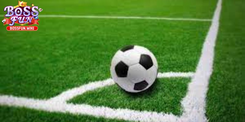 Nắm vững cách chơi đơn giản và nhanh chóng 