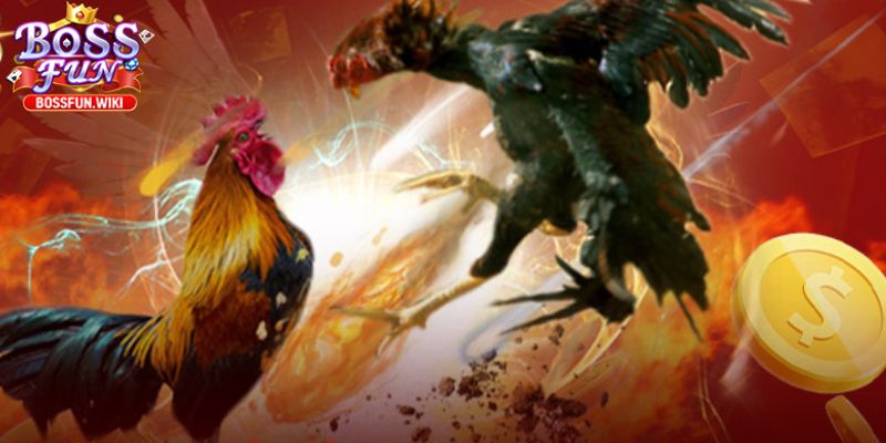 Sảnh Đá Gà BossFun – Đấu Trường Đỉnh Cao Cho Cao Thủ 2 Nhà cái uy tín , chất lượng hàng đầu hiện nay